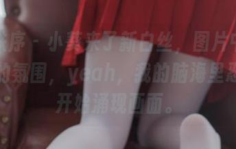 少女秩序 – 小葵来了新白丝，图片中那种微妙的氛围，yeah，我的脑海里忍不住开始涌现画面。